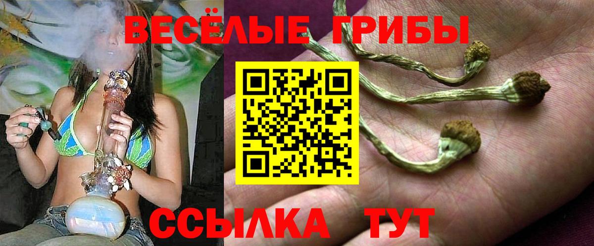 Галлюциногенные грибы мухоморы  Вход с VPN  Псилоцибиновые грибы Cubensis  Мыски 