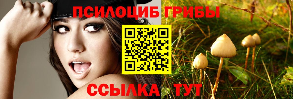 Галлюциногенные грибы мухоморы Мыски
